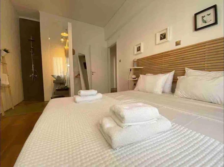 Vasilis Luxury Apartment 雅典 外观 照片