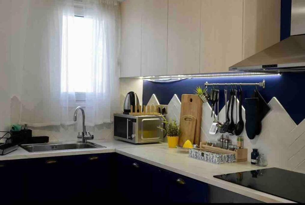 Vasilis Luxury Apartment 雅典 外观 照片